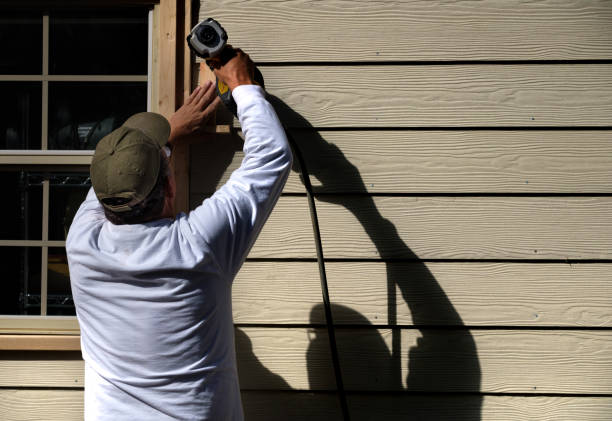 Best Siding Painting and Refinishing  in Brownsville, TX